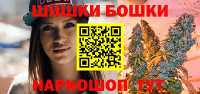 спиды Гай