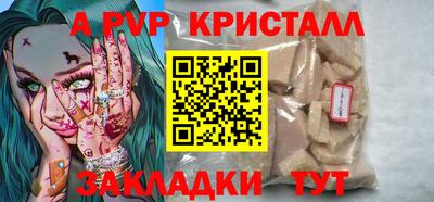 спиды Гай