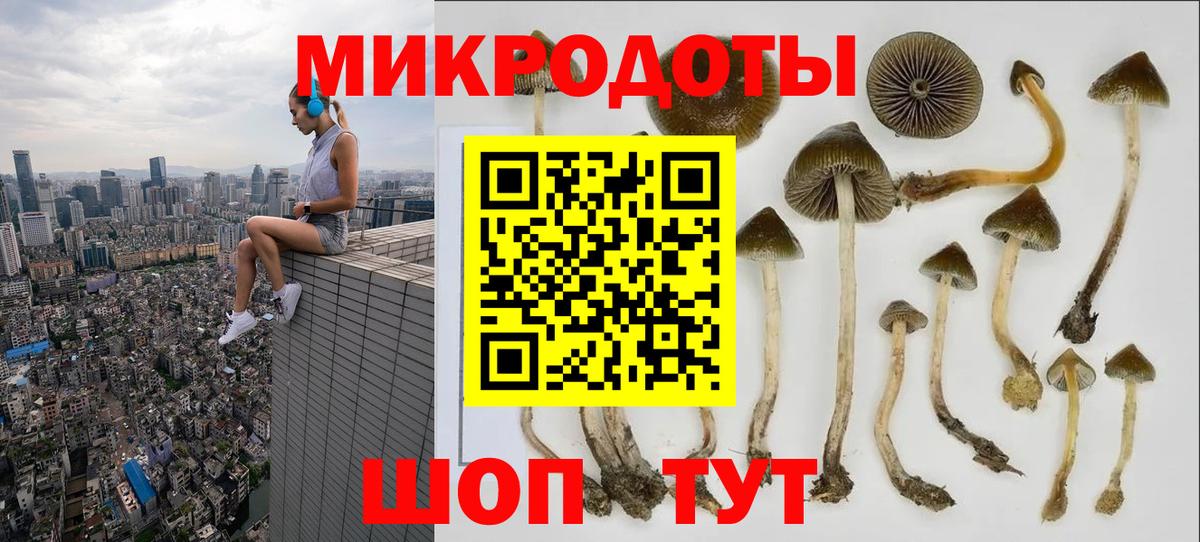 Урай  Псилоцибиновые грибы прущие грибы  Вход с VPN 