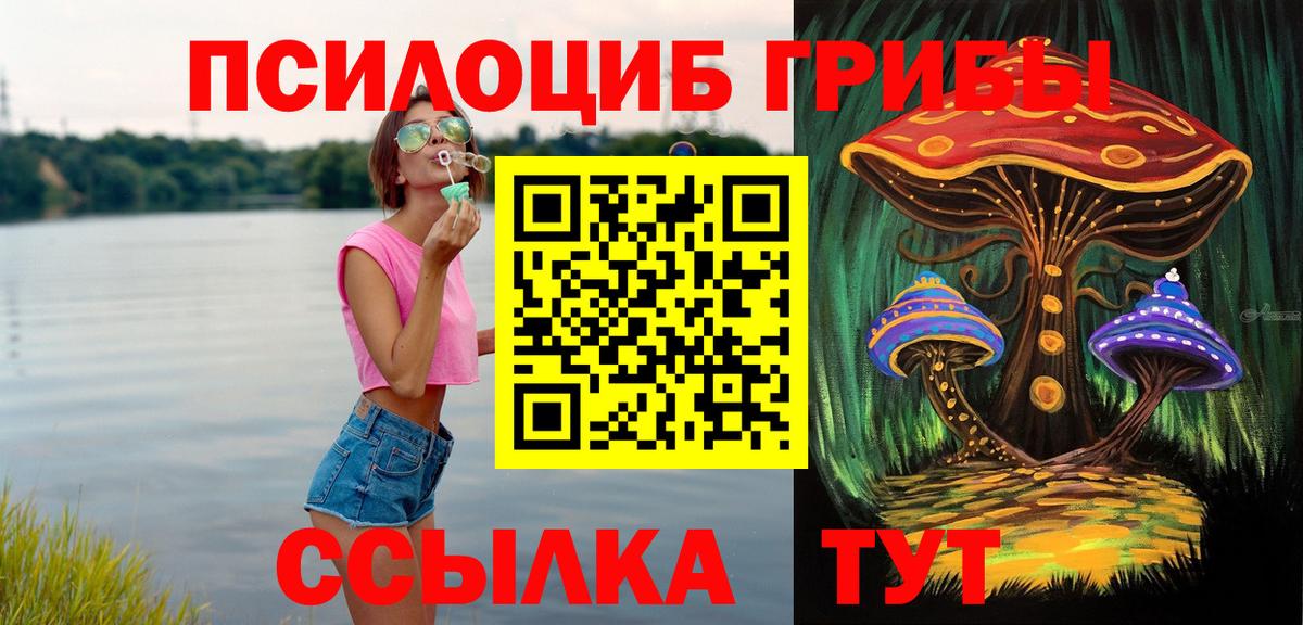 Галлюциногенные грибы Psilocybe Урай