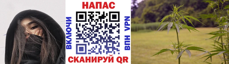 Бошки марихуана ГИДРОПОН  где продают наркотики  Урай 